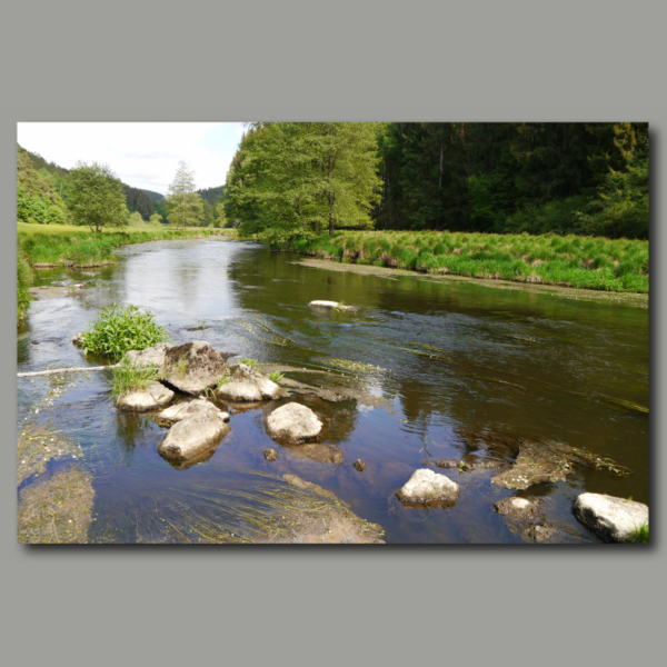 Cartel: Piedras en el río salvaje