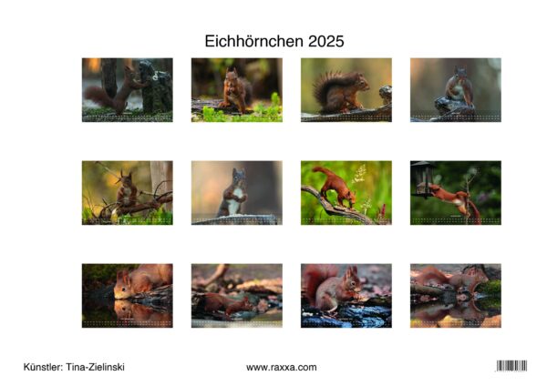 raxxa Premium-Monatskalender Eichhörnchen 2025 – Bild 2