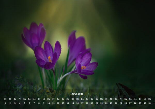 raxxa Premium-Monatskalender Flowers 2025 – Bild 9